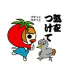 プチとまと姫 Ver.3.0（個別スタンプ：13）