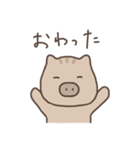 うりぼお（個別スタンプ：20）