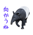 ほほえみフレンズ バクのきままな日常生活（個別スタンプ：3）