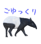 ほほえみフレンズ バクのきままな日常生活（個別スタンプ：14）