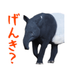 ほほえみフレンズ バクのきままな日常生活（個別スタンプ：18）