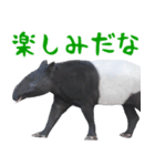 ほほえみフレンズ バクのきままな日常生活（個別スタンプ：26）