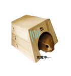 うさぎnoきなこ（個別スタンプ：3）