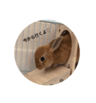 うさぎnoきなこ（個別スタンプ：6）