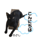 Dep 里親様スタンプ 猫ver④ 敬語版（個別スタンプ：2）