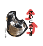 Dep 里親様スタンプ 猫ver④ 敬語版（個別スタンプ：13）