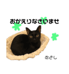 Dep 里親様スタンプ 猫ver④ 敬語版（個別スタンプ：19）