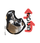 Dep 里親様スタンプ 猫ver ④（個別スタンプ：13）