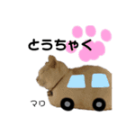 Dep 里親様スタンプ 猫ver ④（個別スタンプ：22）