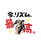 ミニチュアダックスの気ままなランチ⑯（個別スタンプ：2）