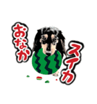 ミニチュアダックスの気ままなランチ⑯（個別スタンプ：3）