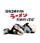 ミニチュアダックスの気ままなランチ⑯（個別スタンプ：9）