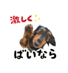 ミニチュアダックスの気ままなランチ⑯（個別スタンプ：13）