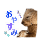 もこちゃんスペシャル（個別スタンプ：2）