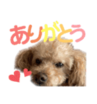 もこちゃんスペシャル（個別スタンプ：4）