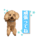 もこちゃんスペシャル（個別スタンプ：8）