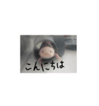 うーさん家の日常④（個別スタンプ：2）