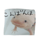 うーさん家の日常④（個別スタンプ：3）