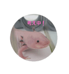 うーさん家の日常④（個別スタンプ：5）