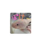 うーさん家の日常④（個別スタンプ：7）