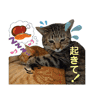 Johnny ＆ Chocola ❹（個別スタンプ：2）