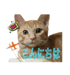 Johnny ＆ Chocola ❹（個別スタンプ：3）