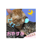 Johnny ＆ Chocola ❹（個別スタンプ：4）