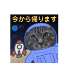 Johnny ＆ Chocola ❹（個別スタンプ：9）
