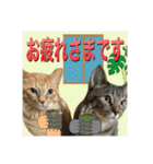 Johnny ＆ Chocola ❹（個別スタンプ：10）