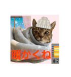 Johnny ＆ Chocola ❹（個別スタンプ：24）