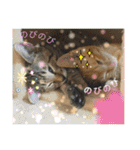 Johnny ＆ Chocola ❹（個別スタンプ：25）