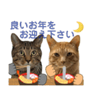 Johnny ＆ Chocola ❹（個別スタンプ：34）