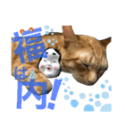 Johnny ＆ Chocola ❹（個別スタンプ：36）