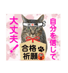 Johnny ＆ Chocola ❹（個別スタンプ：37）