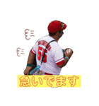 やましゃんスタンプ ①（個別スタンプ：17）