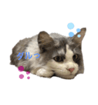 あおいちゃん(^^)（個別スタンプ：1）