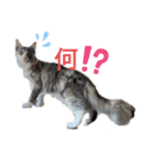 あおいちゃん(^^)（個別スタンプ：2）