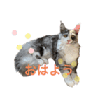 あおいちゃん(^^)（個別スタンプ：3）