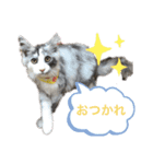あおいちゃん(^^)（個別スタンプ：7）