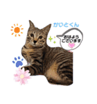 幸せな仲間達  No.2（個別スタンプ：1）