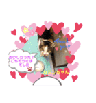 幸せな仲間達  No.2（個別スタンプ：3）