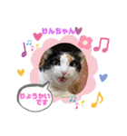幸せな仲間達  No.2（個別スタンプ：12）