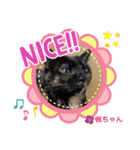 幸せな仲間達  No.2（個別スタンプ：17）