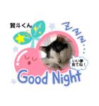幸せな仲間達  No.2（個別スタンプ：19）