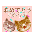 再販【トラ猫＆白猫】動く！ペットたち（個別スタンプ：18）