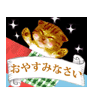 再販【トラ猫＆白猫】動く！ペットたち（個別スタンプ：24）