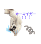 茶瑠すたんぷ。2（個別スタンプ：10）