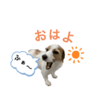 かわいいモカちん♪（個別スタンプ：1）