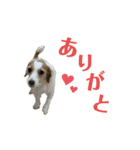 かわいいモカちん♪（個別スタンプ：2）