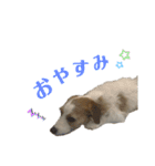 かわいいモカちん♪（個別スタンプ：9）